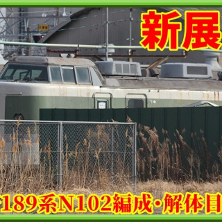 湘南色の部屋（Shonan-color train）