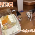 甘えん坊と欲張りさん