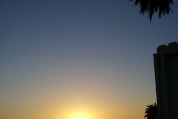 今日も気ままに行きませう