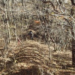 東北のサイクリングと山登り