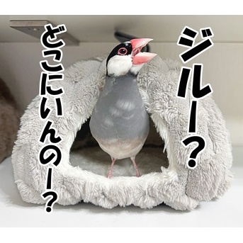 騒音問題、勃発中