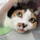 凶暴だったサンちゃん、病院へ行く！