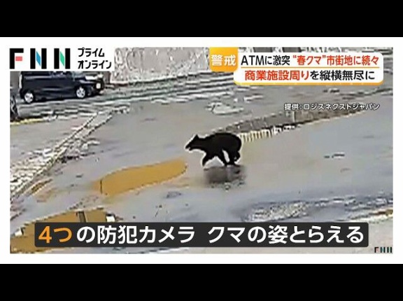 【速報】クマさん🐻、やりたい放題　ついにATMをぶっ壊す