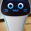 わが家に猫ちゃん配膳ロボットを導入，または愉しい爺さん稼業