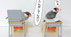 自習時間になんの勉強する？
