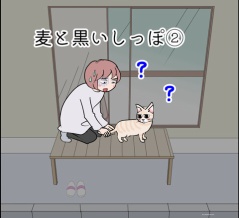 麦と黒いしっぽ②