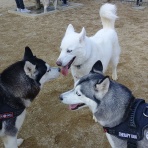 アンマチ☆毎日がエブリデイ