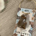 ベネリ君ジャミちゃんキャリコちゃんフランキ君のもふもふメモリー
