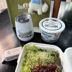 ハワイネコ ブログ