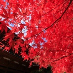 風景写真家・西川貴之の気まぐれブログ