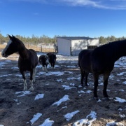 ���򴵤ä��ͤΤ����