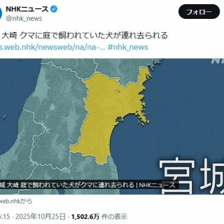 ヤダァ！新伍さんたらぁ♡ : 中古レコ屋のあくび指南～のんびり