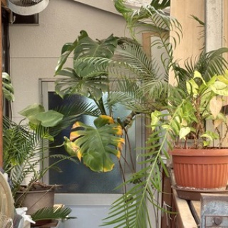 Beach Field　いいかげん日記帳Ⅲ