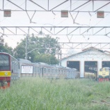 『週刊マンガライレポートVol.178』の画像