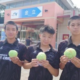 『金立』の画像