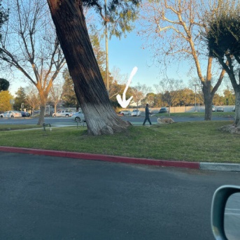 気になってじいさんを尾行した