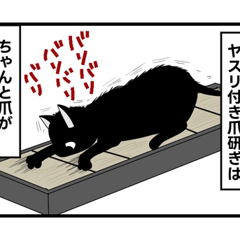 【猫飼い１年生・73】爪切りできなくても大丈夫