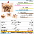 ☆今日のわんこ☆