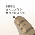 あんこ＆麦2463 あんこが何か見つけたようだ