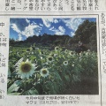 読売新聞に掲載されました！