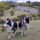 2026年4月25日 伊賀市/津市 青山高原清掃登山