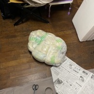 カビでダメおし 大物減らす ／ 実家整え