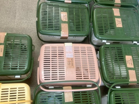 今日も32匹、、、💦