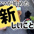 もういっちょ行ってみよう。