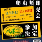 爬虫類クラブJ新潟店