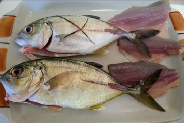 猪丸の釣りとその他諸々 メッキ