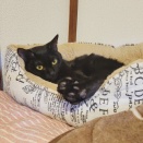 クロパン日記🐈‍⬛🎄