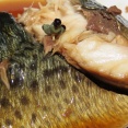 釣った鯖で家庭料理