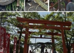 令和７年　禊祭　夏越大祓