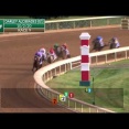 1位　シンプリーラヴィシングの2024(ダイナマイク)