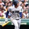 履正社４番の井上を獲りそうな球団ｗｗｗｗｗｗｗｗ