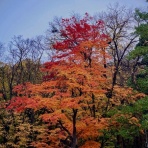 空もよう、心もよう ～ sora koko.