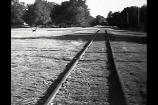 1940年以前のジャズ ５ Wc Handy Wcハンディ 1873 1958