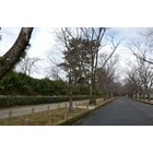 �ؽ���Ÿ���������٤β���