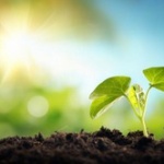 人間は動物の命なんだと思ってるの？野菜食えよ 	