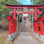 努力の上に花は咲くⅡ