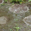 あいにくの雨
