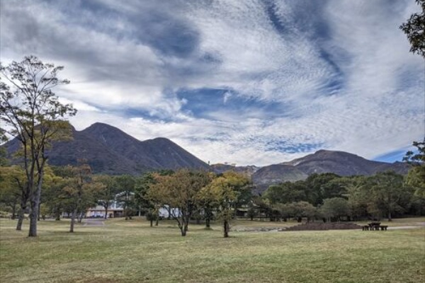 勝手に花言葉 徒然なるままに ウメバチソウ
