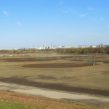 『年内最後の週末へ向けグラウンド状況は良好です』の画像