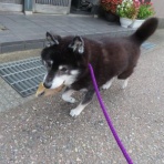 churahamaのブログ