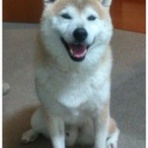 とっても微妙