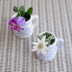 花を飾るハードルが下がった話