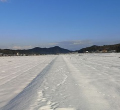 歳時記（今年の雪は重くて樹木の被害は甚大）