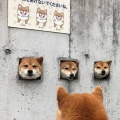 守護者