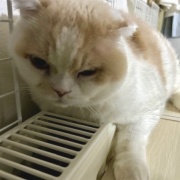 100円ショップで買ったお掃除グッズ