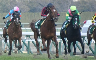 『今日は何の日?(2月7日)』の画像